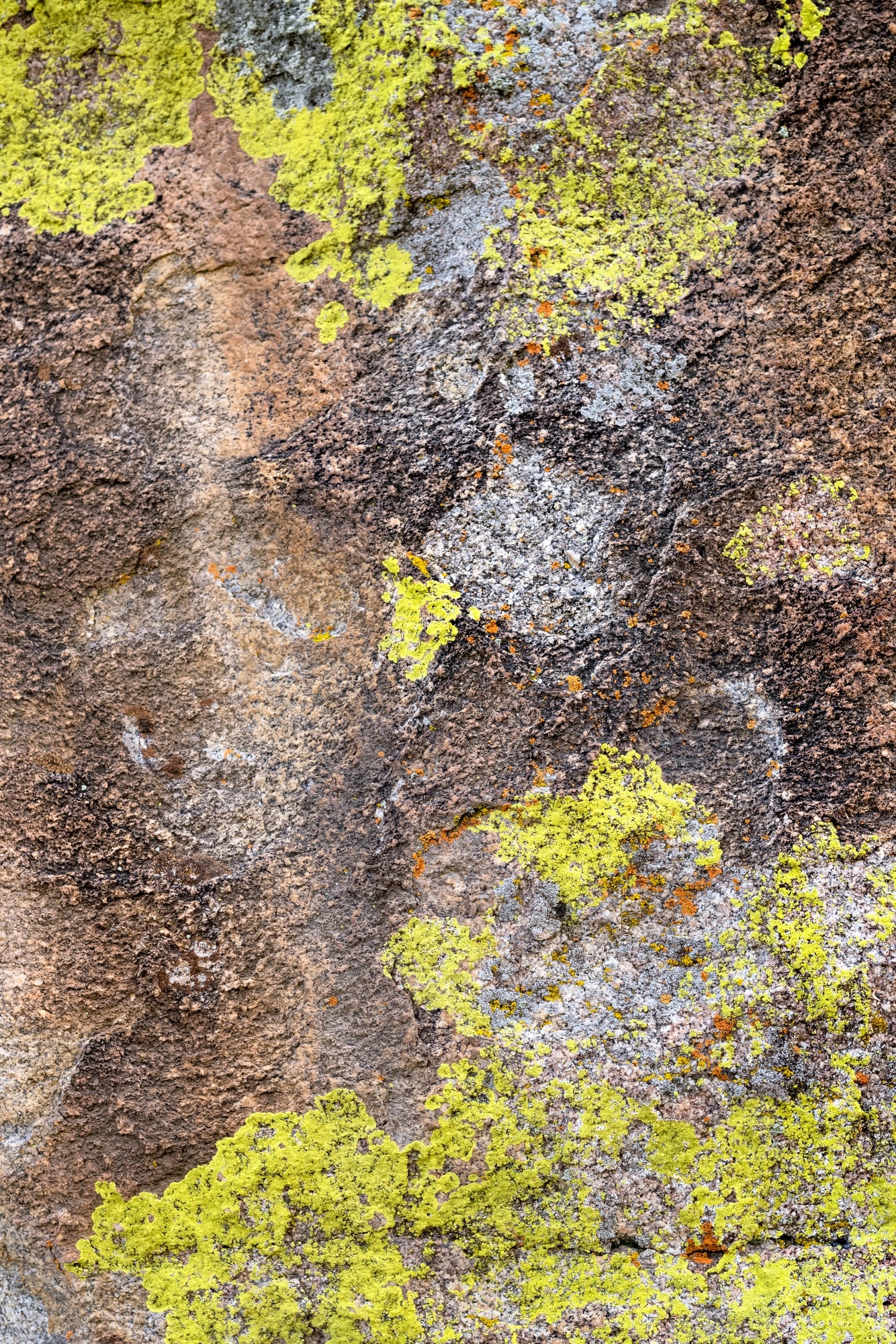 Rock and lichen surface from City of Rocks.