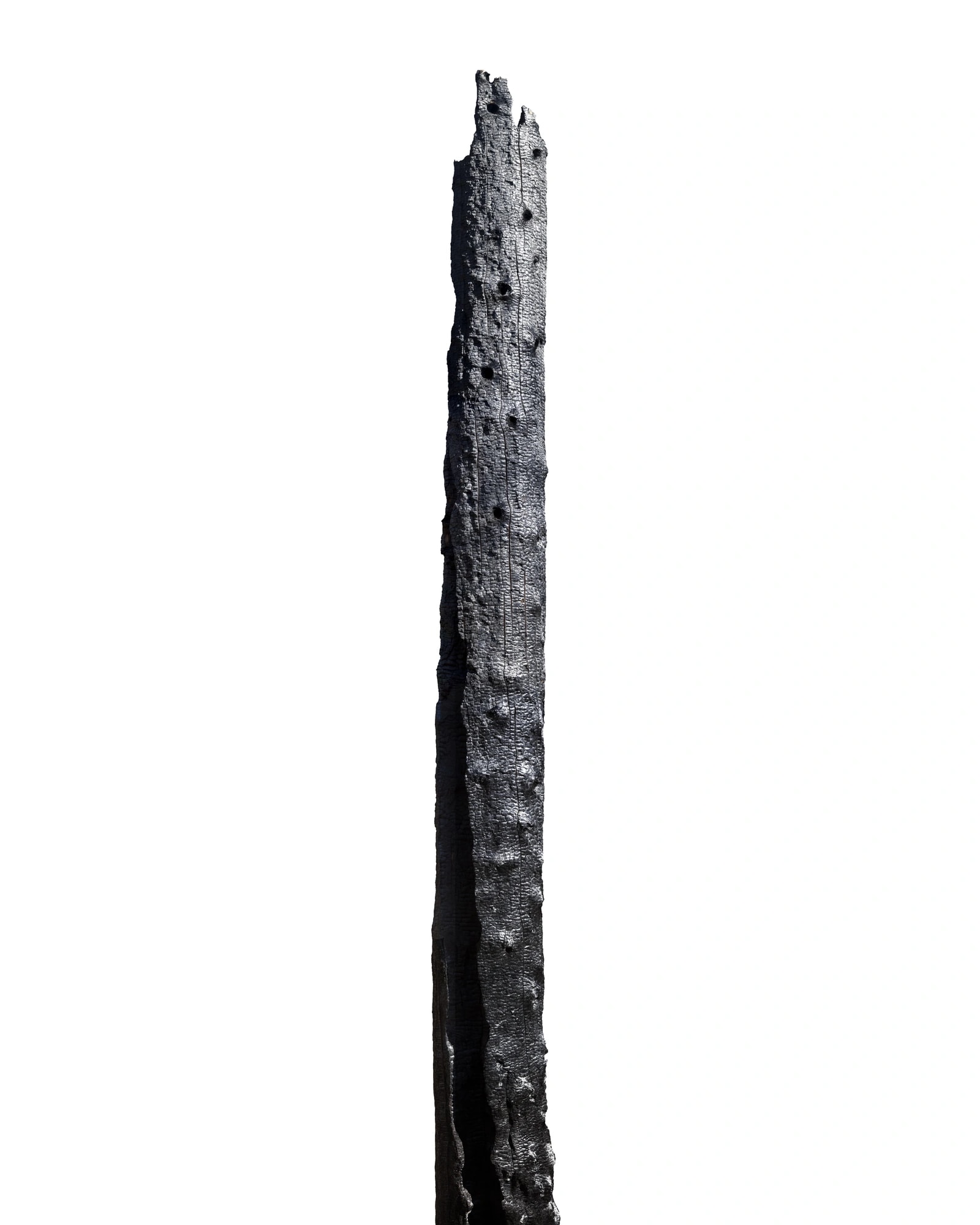 Selected Totems & Sentinels photograph.