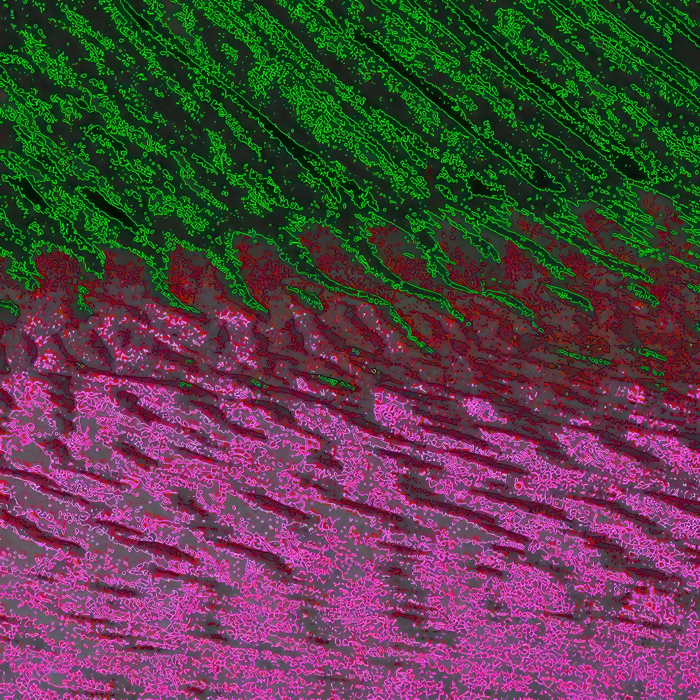 Narrow texture: L1006984 SUPER ZOOM 2.jpg